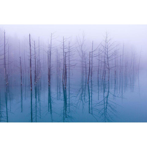 Misty Blue Pond Black Modern Wood Framed Art Print with Double Matting by Asami, Osamu