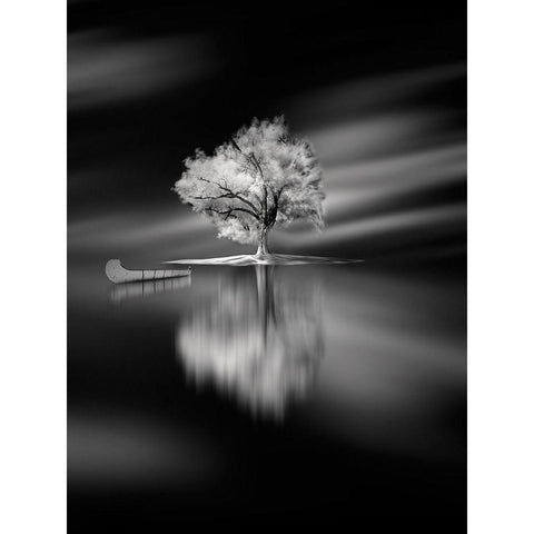 Quiet Black Modern Wood Framed Art Print with Double Matting by David Senechal Photographie