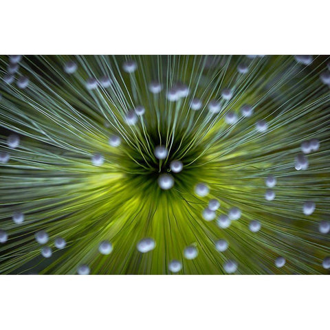 Inverted Commas Black Modern Wood Framed Art Print by Faber, Wave