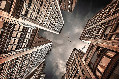 Locked in civilization Black Ornate Wood Framed Art Print with Double Matting by Rozenzvig, Carmit