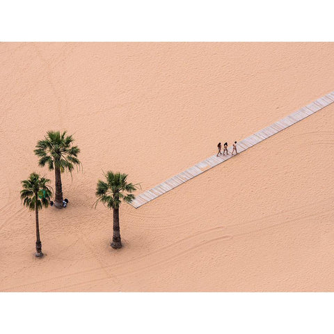 0.127083333333333 Gold Ornate Wood Framed Art Print with Double Matting by Pavlin, Miha