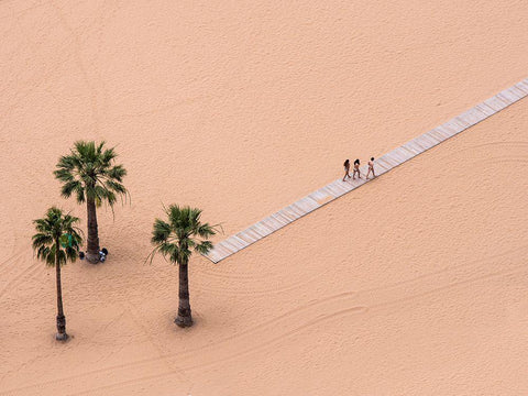 0.127083333333333 Black Ornate Wood Framed Art Print with Double Matting by Pavlin, Miha