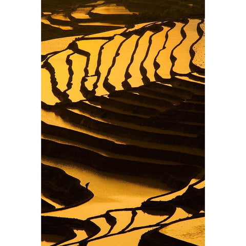 Among The Terraces Black Modern Wood Framed Art Print with Double Matting by Sandstrom, Andreas