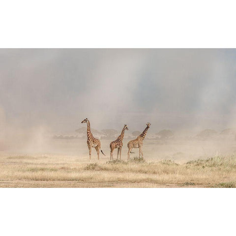 Weathering The Amboseli Dust Devils Gold Ornate Wood Framed Art Print with Double Matting by C. Sink, Jeffrey