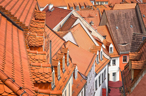 The Color Of These Roofs... Black Ornate Wood Framed Art Print with Double Matting by Feldtkeller, Andreas