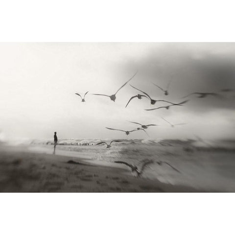 Quiet Dreams... Black Modern Wood Framed Art Print with Double Matting by Niemiec, Anna