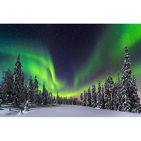 Aurora Black Modern Wood Framed Art Print with Double Matting by Roemmelt, Dr. Nicholas