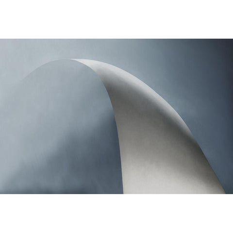 White Bow Black Modern Wood Framed Art Print with Double Matting by Claes, Gilbert