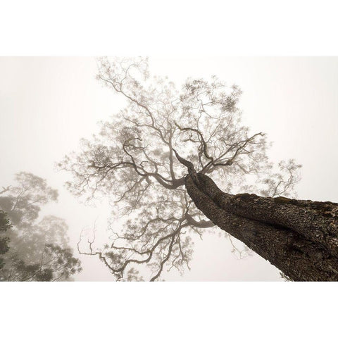 Between Heaven And Earth Black Modern Wood Framed Art Print by Wrobel, Karsten