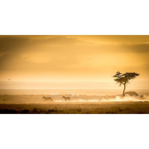 Training, Because The Lions Await. Gold Ornate Wood Framed Art Print with Double Matting by C. Sink, Jeffrey