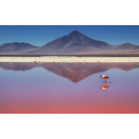 Pink Morning White Modern Wood Framed Art Print by Chernilova, Margarita