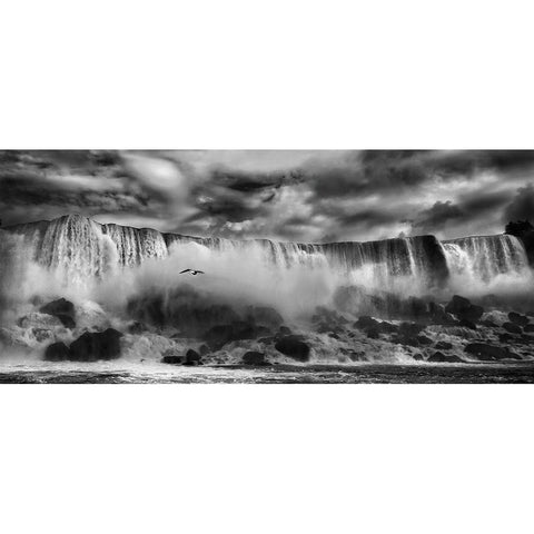 Beauty Unbound !! Black Modern Wood Framed Art Print with Double Matting by Depaepe, Yvette
