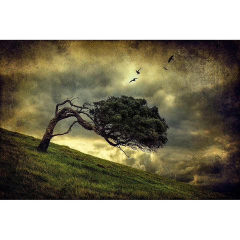 Winds Of Change Gold Ornate Wood Framed Art Print with Double Matting by Elgar, Peter