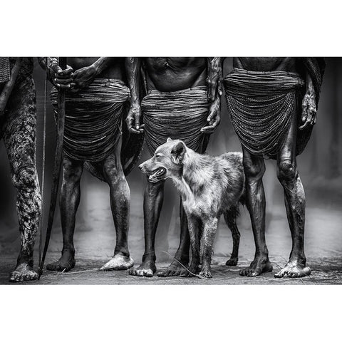 The Dog White Modern Wood Framed Art Print by Stranak, Pavol