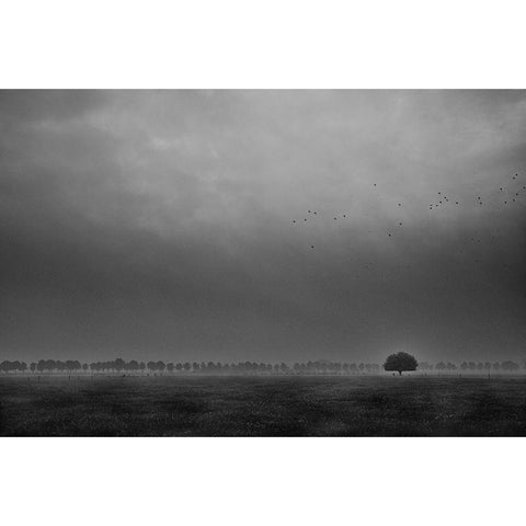 Solitaire Black Modern Wood Framed Art Print by Hageman, Michiel