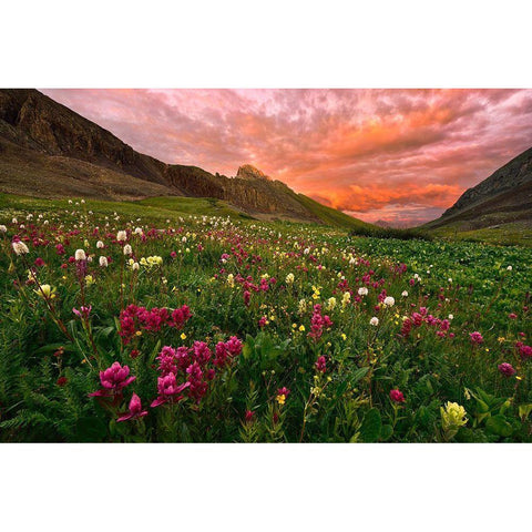 Carpet Of Wildflowers Black Modern Wood Framed Art Print by Xu, Mei