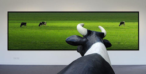 My Wish: I Was Grazing There Myself...! White Modern Wood Framed Art Print with Double Matting by Limberg, Huib