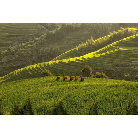 Five Ladies In Rice Fields Black Modern Wood Framed Art Print with Double Matting by Witjes, Max