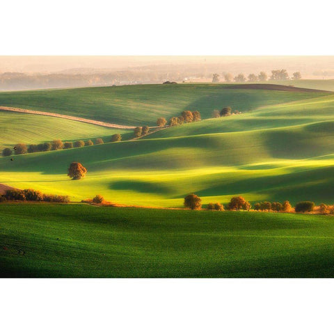 Green Fields White Modern Wood Framed Art Print by Krol, Piotr