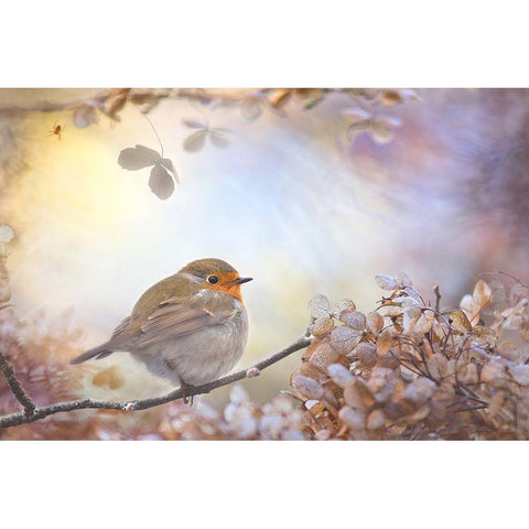 Robin On Dreams White Modern Wood Framed Art Print by Teuni