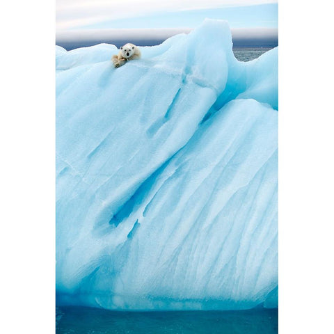 Observing White Modern Wood Framed Art Print by Gil Raga, Joan