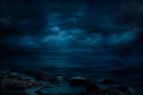Moonlight Over Distant Shores Black Ornate Wood Framed Art Print with Double Matting by Marthinussen, Willy
