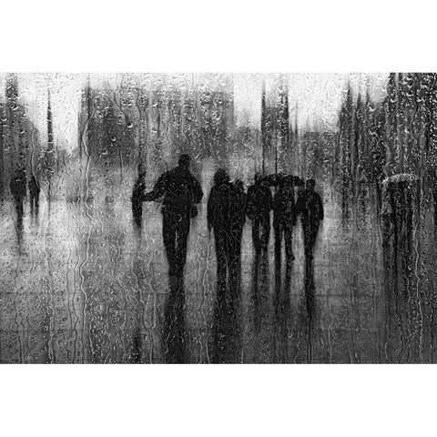 After The Rain Black Modern Wood Framed Art Print with Double Matting by Schleicher-Schwarz, Roswitha