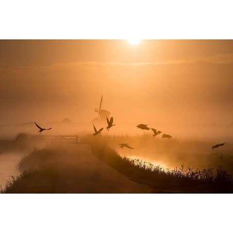 Sunrise Flight White Modern Wood Framed Art Print by Klaverdijk, Harm