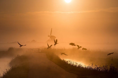 Sunrise Flight White Modern Wood Framed Art Print with Double Matting by Klaverdijk, Harm