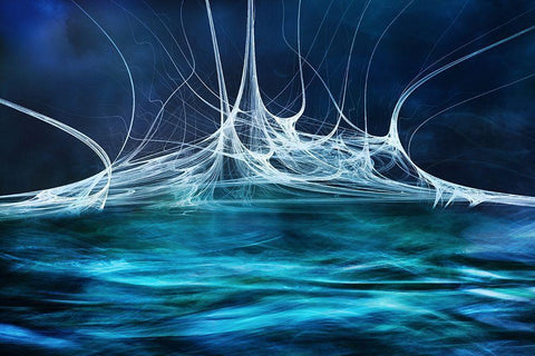 Alien Waters No2 Black Ornate Wood Framed Art Print with Double Matting by Marthinussen, Willy