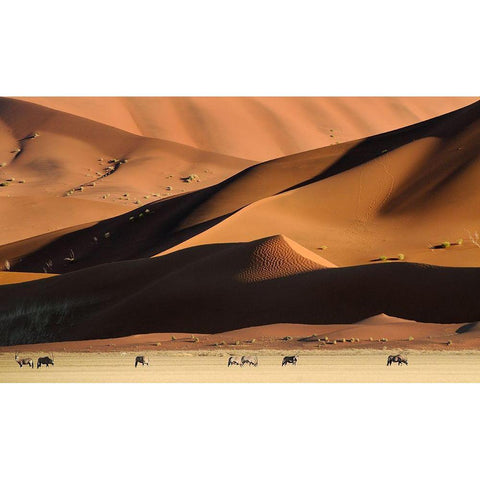 Namib Dunes Black Modern Wood Framed Art Print with Double Matting by Vekemans, Muriel