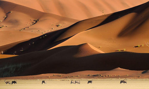 Namib Dunes White Modern Wood Framed Art Print with Double Matting by Vekemans, Muriel