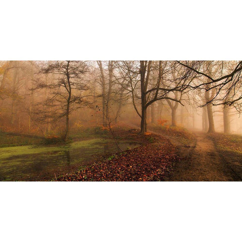 Which Path Ii Gold Ornate Wood Framed Art Print with Double Matting by Londal, Leif