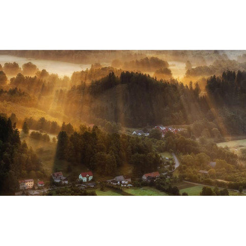 Morning Light Gold Ornate Wood Framed Art Print with Double Matting by Krol, Piotr