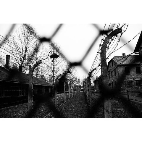 Behind The Fences - Auschwitz I Gold Ornate Wood Framed Art Print with Double Matting by Palacios Prieto, Javier