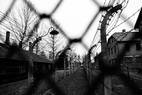 Behind The Fences - Auschwitz I White Modern Wood Framed Art Print with Double Matting by Palacios Prieto, Javier