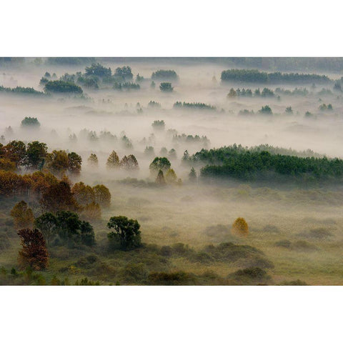 Autumn Dream Black Modern Wood Framed Art Print by Marini, Roberto