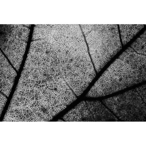 Streets White Modern Wood Framed Art Print by Chiarello, Matteo