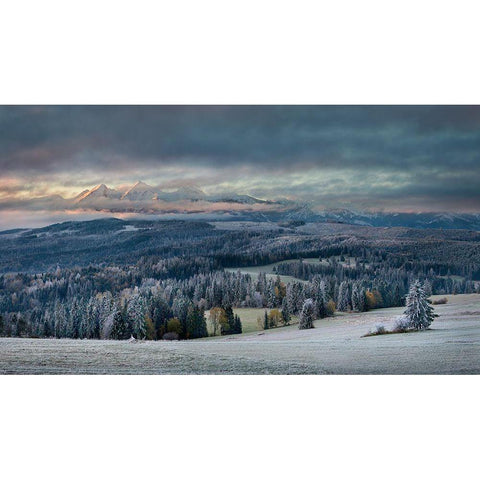 First Touch Of Winter Gold Ornate Wood Framed Art Print with Double Matting by Svoboda Mqep, Peter