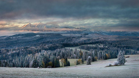 First Touch Of Winter White Modern Wood Framed Art Print with Double Matting by Svoboda Mqep, Peter