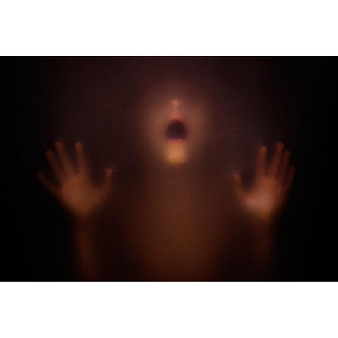 The Silent Scream Gold Ornate Wood Framed Art Print with Double Matting by Bokeh, David