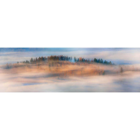 In The Morning Mists Black Modern Wood Framed Art Print with Double Matting by Krol, Piotr