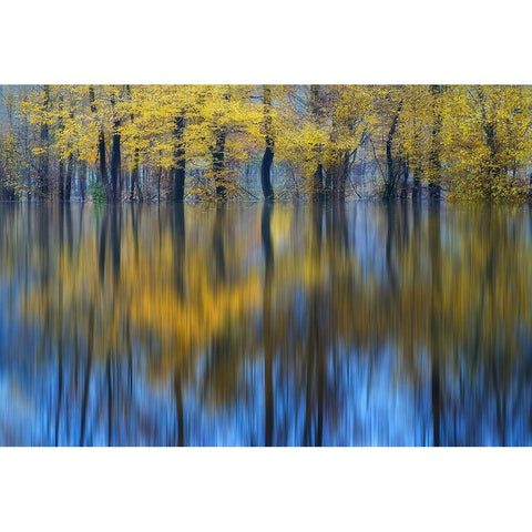 Yellow Reflection Black Modern Wood Framed Art Print by Komovec, Ales