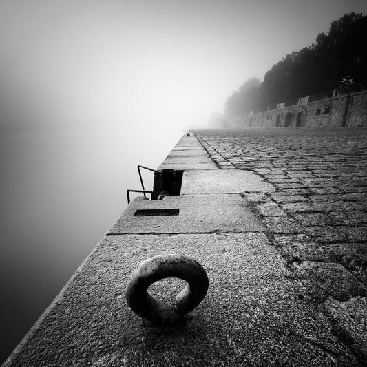 Image Only