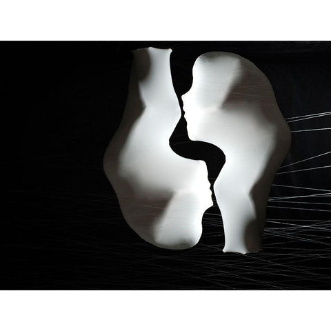 Twins Black Modern Wood Framed Art Print with Double Matting by Zahirimehr, Maryam