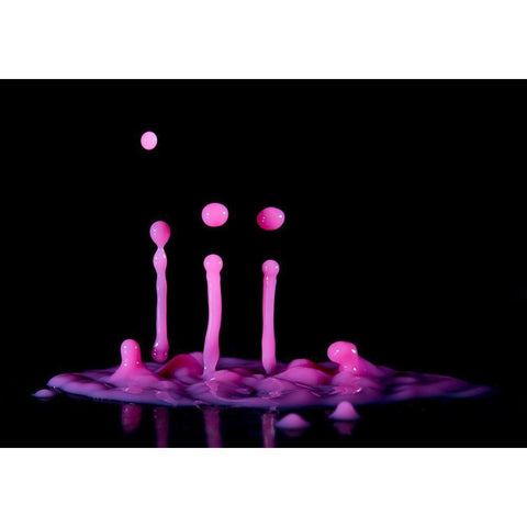 Albatroz Gold Ornate Wood Framed Art Print with Double Matting by De Kogel, Wieteke