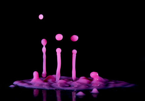 Albatroz White Modern Wood Framed Art Print with Double Matting by De Kogel, Wieteke