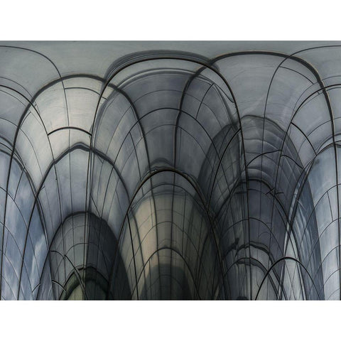 Cobweb Cathedral Black Modern Wood Framed Art Print with Double Matting by Vangindertael, Luc