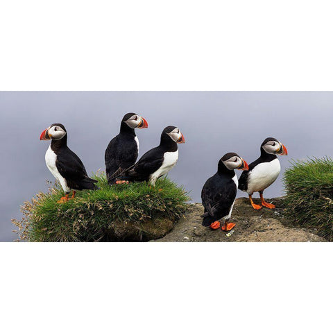 I Dont Care Black Modern Wood Framed Art Print by Mattheyses, Eric