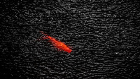 Untitled White Modern Wood Framed Art Print with Double Matting by Pour Khoshamouz, Saman